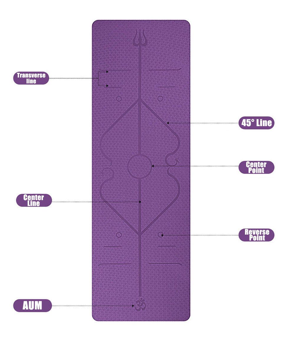 Pro Line TPE Yoga Mat for Beginners with Position Guide